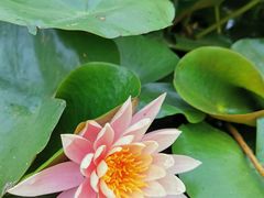 -公益图书馆(江南大学店)