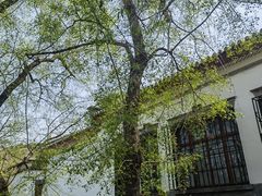 -香山公园