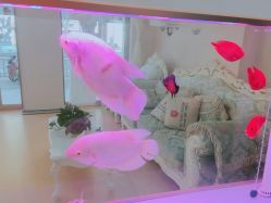 -痘庄科学祛痘国际连锁机构