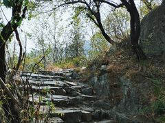 -阳台山自然风景区