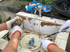 -吴淞炮台湾湿地森林公园烧烤区