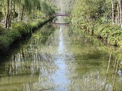 -合肥滨湖国家森林公园