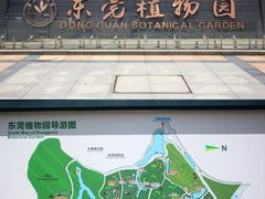 -东莞植物园