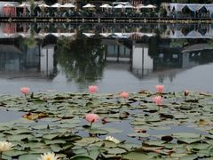 -白鹭湾湿地公园