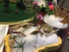 -海通1号(梅峰店)