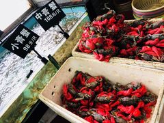 -莲花公园煎蟹(总店)