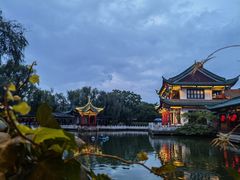 -MAP CHA普洱茶馆(翠湖店)