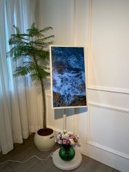 -闺蜜瑜伽·普拉提女性塑形馆