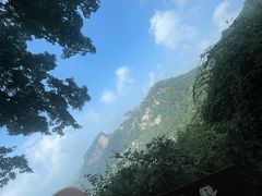 -少华山国家森林公园
