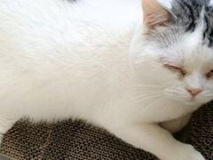 -美联众合动物医院·24h转诊中心