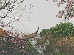 -惠州西湖丰渚园