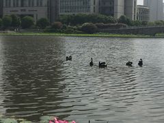 -江南大学(蠡湖校区)