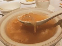-新同乐鱼翅酒家(美丽华店)
