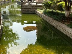-苏州吴宫泛太平洋酒店