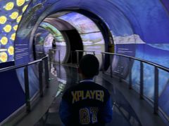 -房山世界地质公园博物馆