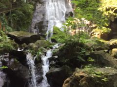 -藏龙百瀑风景区