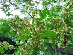 -中国黔江城市大峡谷