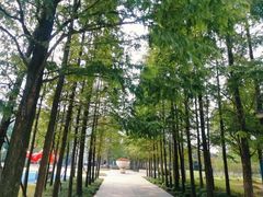 -上海市第一人民医院(松江南部)