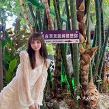 氛围感绝佳，不可错过的东南亚料理～