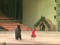 -灵玲国际马戏城