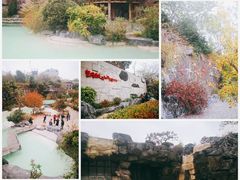 -上海吴淞炮台湾国家湿地公园