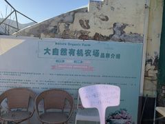 -大自然农场蔬菜草莓采摘园