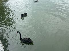 -长春市南湖公园