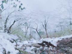 -九峰山