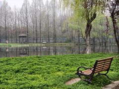 -南京医科大学(江宁校区)