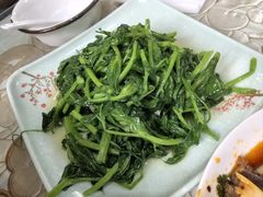 -良泉足疗