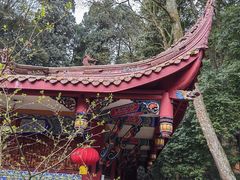 -都江堰普照寺
