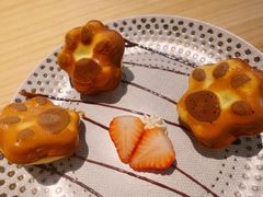 -喵屿·大理花园猫咖
