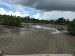 -东寨港红树林旅游区