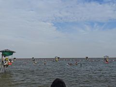 -碧海金沙