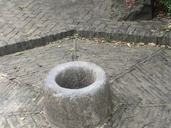 -上海佘山国家森林公园天马山园