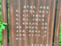 -句容茅山景区