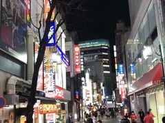 -秋叶原电器街