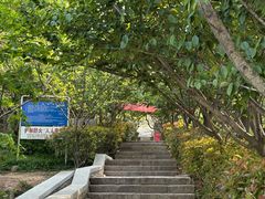 -观象山公园