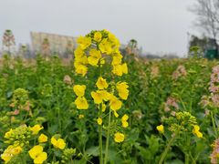 -中国天府农业博览园