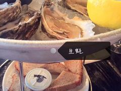 -金蜗牛