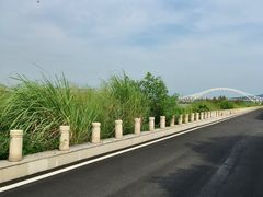 -芒洲湿地公园
