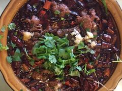 -曾牛肉
