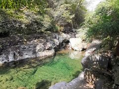 -天目山大树王景区