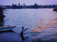 -尼甘布海鲜市场