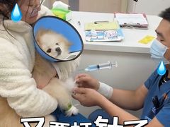 -康成宠物医院24H·CT·核磁共振