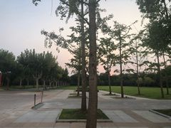 -东园小馆·早茶·淮扬小炒(宋夹城店)