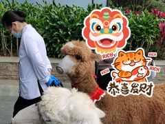 -南宁荔园维景国际大酒店·荔园中餐厅