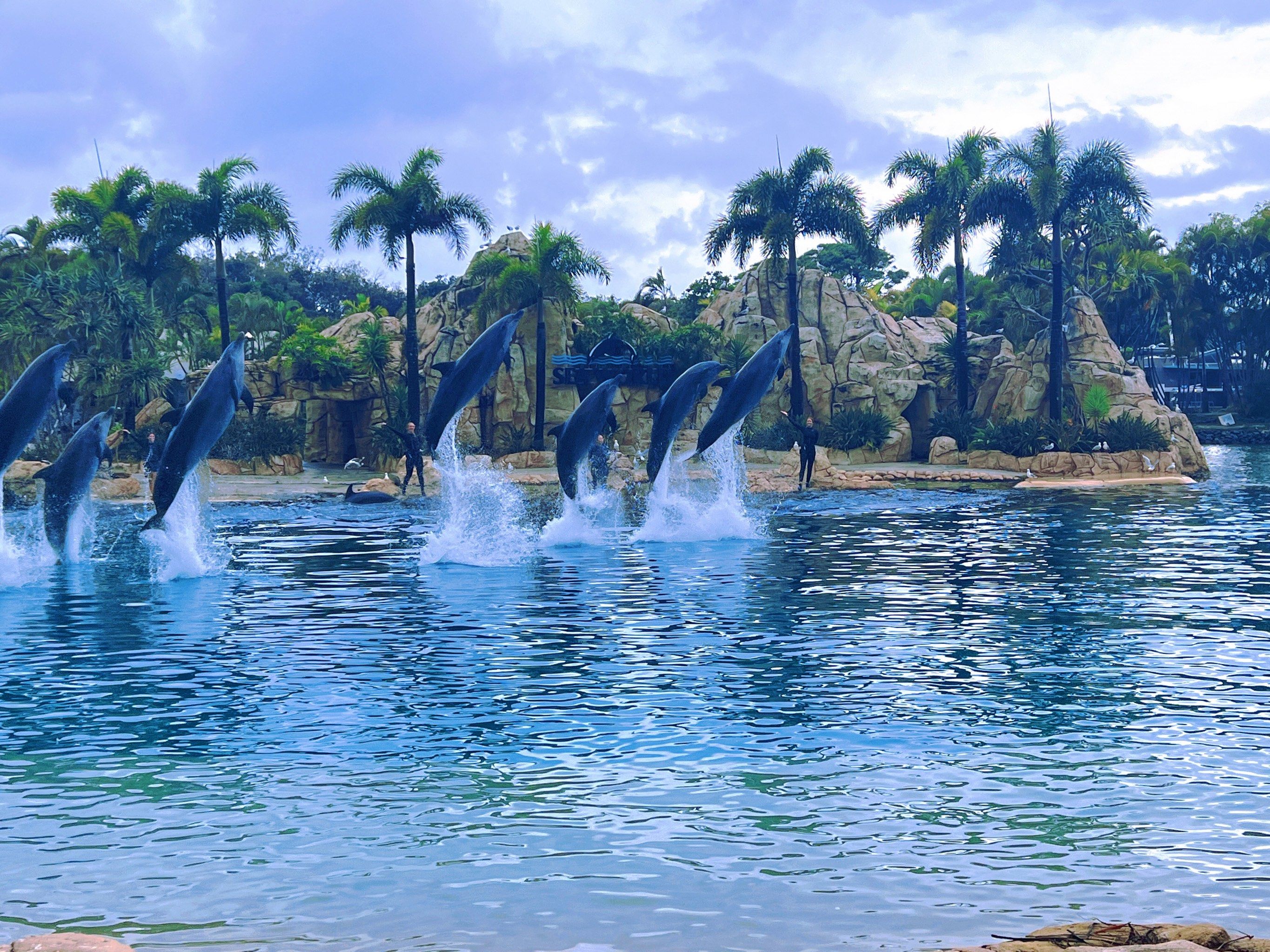澳大利亚黄金海岸sea world