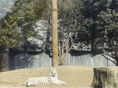 -常州淹城野生动物世界