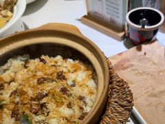 -鸽小宝(深圳首店)